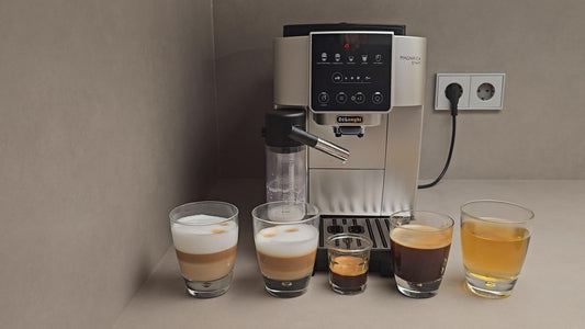 Delonghi Magnifica Start: bebidas y recetas que puede preparar paso a paso.